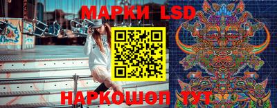 винт Кандалакша