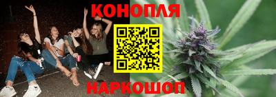 ECSTASY Камышлов