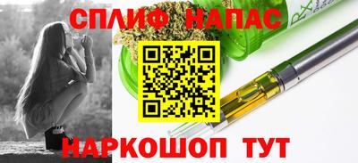 ECSTASY Камышлов